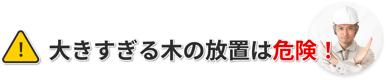 大きすぎる木の放置は危険！