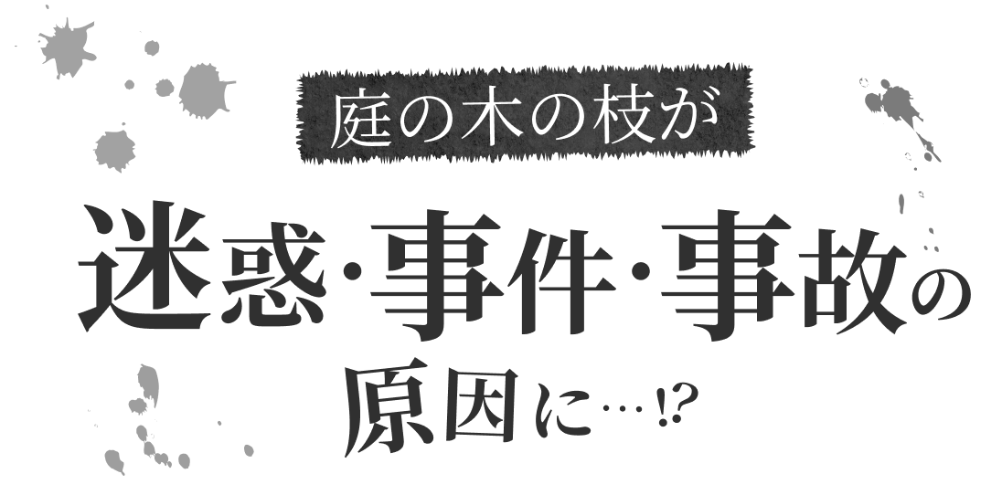 庭の木の枝が迷惑・事件・事故の原因に…!?