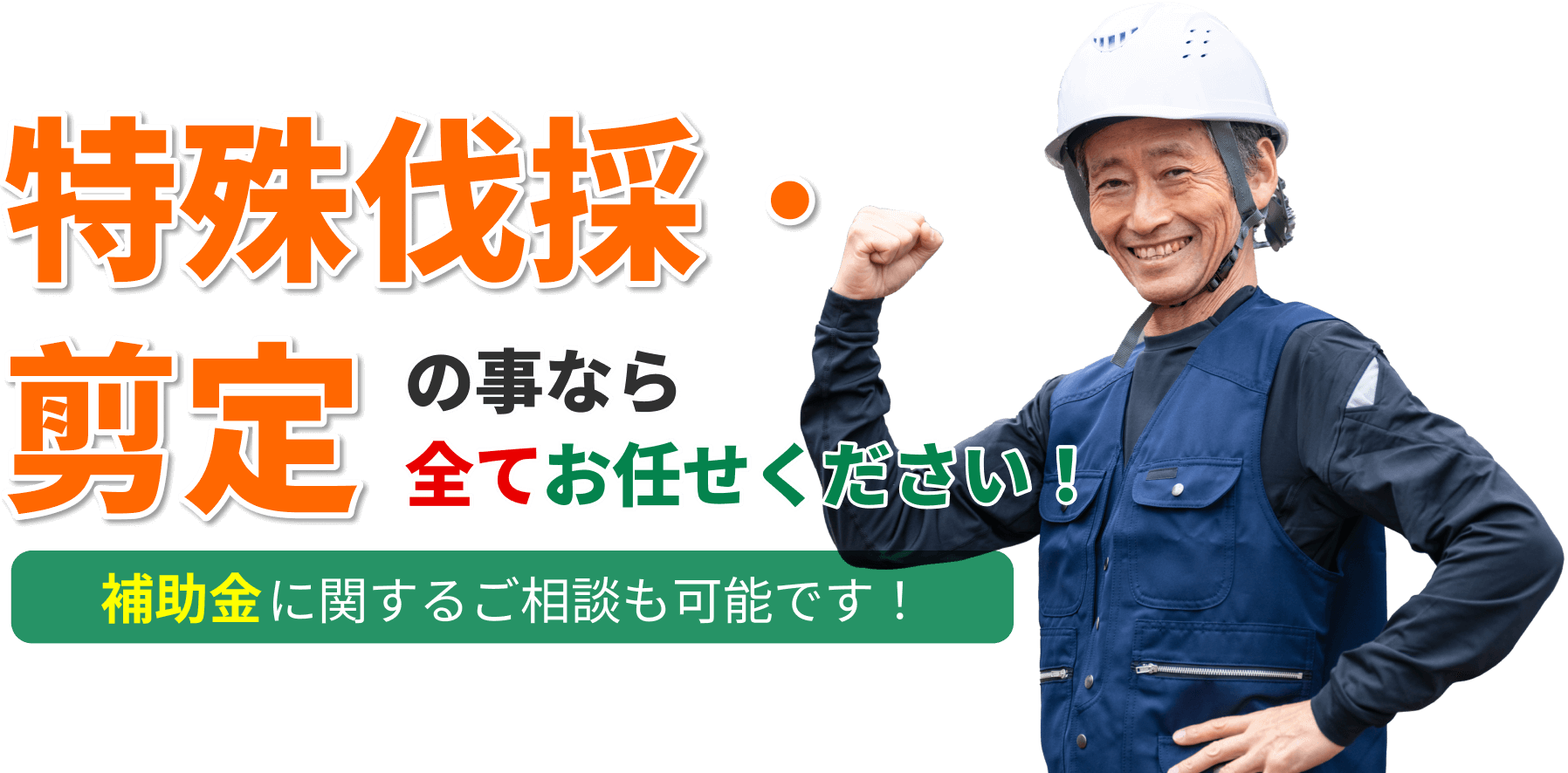 特殊伐採・剪定の事なら全てお任せください！ 補助金に関するご相談も可能です！