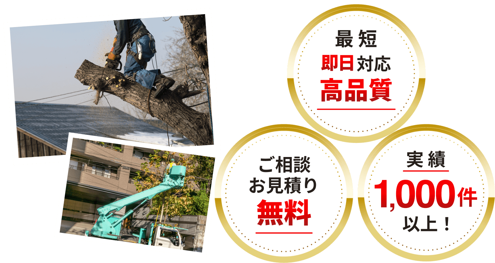 最短即日 高品質 ご相談お見積り無料 実績1,000件以上