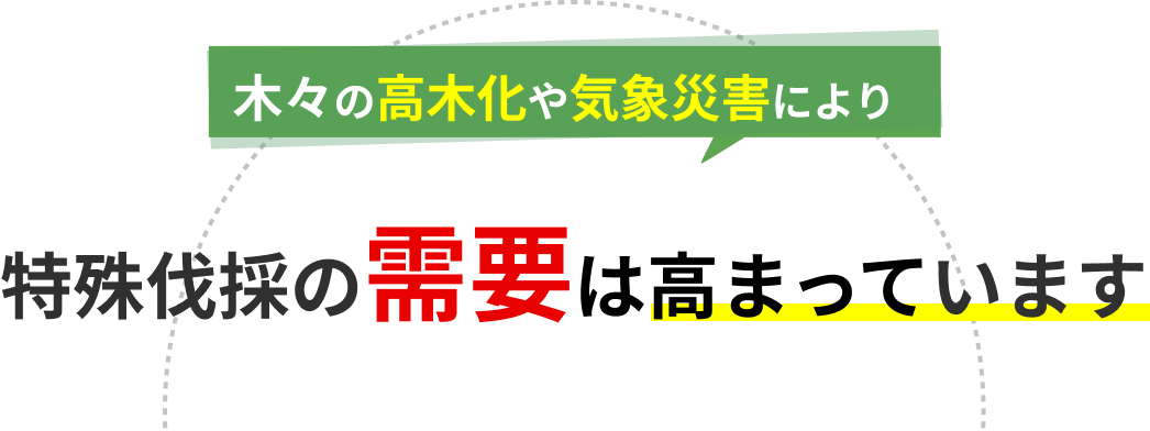 木々の高木化や気象災害により特殊伐採の需要は高まっています