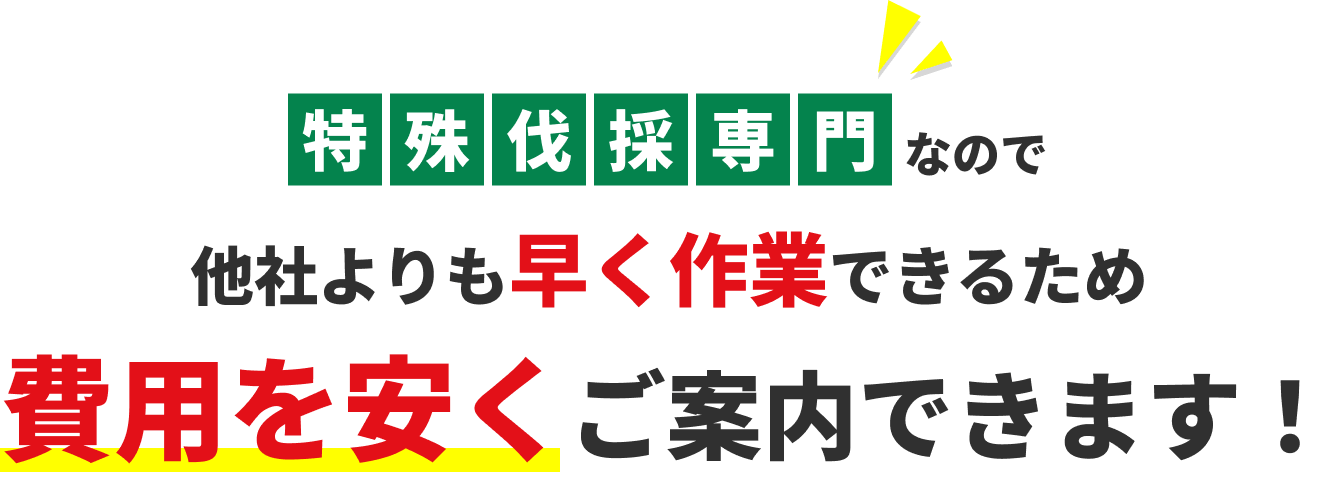 特殊伐採専門なので他社よりも早く作業できるため費用を安くご案内できます！