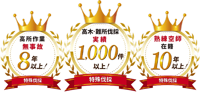 高所作業無事故8年以上！ 高木・難所伐採実績 1,000件以上！ 熟練空師在籍10年以上！